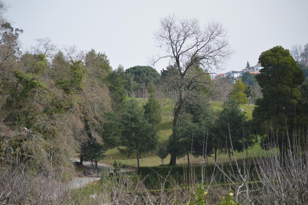 הוסטל Vila Nova de Famalicão Casa Da Encosta - Quinta Da Costa מראה חיצוני תמונה